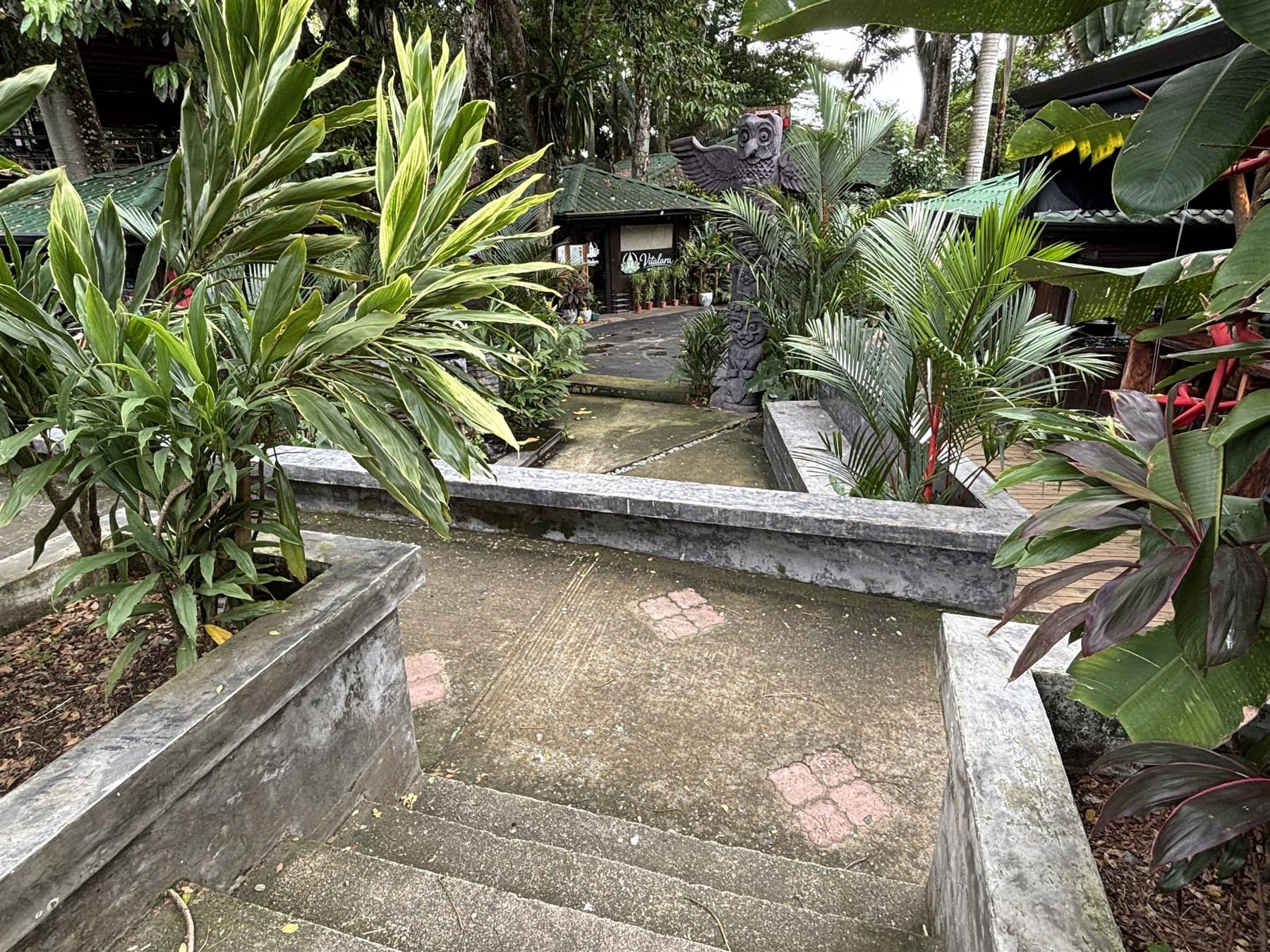 Tropical garden path leading toward Vitalara Wellness in Dominical