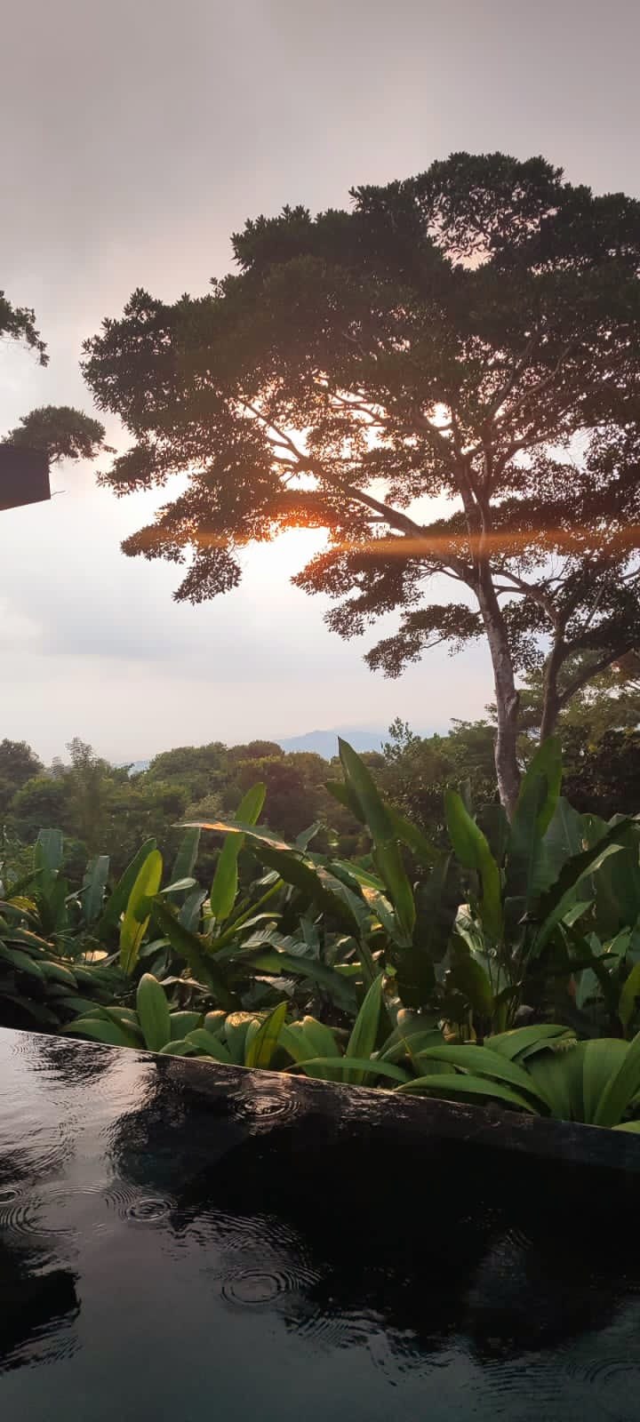 Tropical private residence view for Vitalara's 30-day protocol
